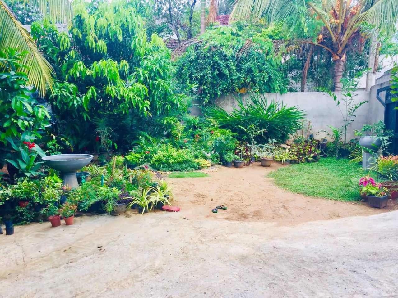 Suwani Pinnawala Homestay Exterior foto